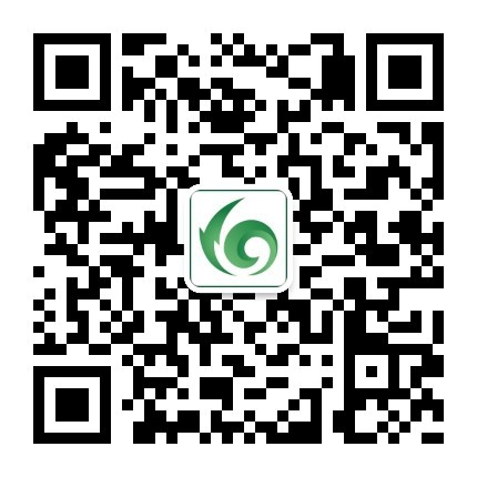 2024年澳门精准免费大全